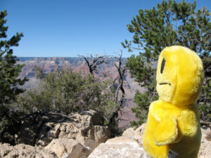 MrHappy_GrandCanyon1-1.jpg